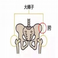 图片,manchu.work,www.manchu.work,满族空间，满语学习，ᡩᡠ ，杜