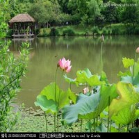 图片,manchu.work,www.manchu.work,满族空间，满语学习，ᠣᠮᠣ ，奥茂
